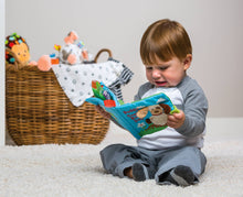 Load image into Gallery viewer, Mary Meyer - Taggies Buddy Dog Soft Book