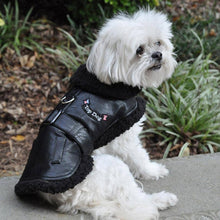 Load image into Gallery viewer, Doggie Design - Top Dog Flight Harness Coat - Black - X-Large