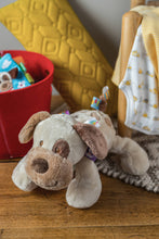 Load image into Gallery viewer, Mary Meyer - Taggies Buddy Dog Soft Toy