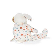 Load image into Gallery viewer, Bunnies By the Bay - ❤️SALE - Big Skipit Buddy
